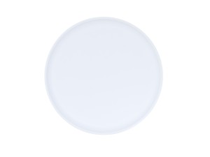 Sophie 10" Stone Blue and White Plate